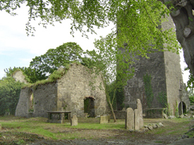 Birr Old Churchyard, believed to be the site of the monastery founded by St Brendan