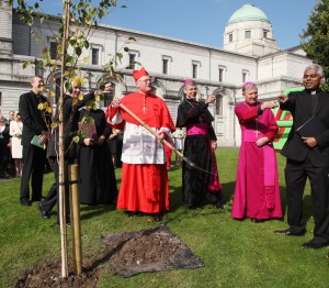 Papal Nuncio Archbishop Charles Brown, Bishop of Meath Michael Smith pointing out something to Cardinal Timothy Dolan as he plants a birch tree before the mass in Mullingar Cathedral. Pic John McElroy.