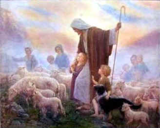 Shepherd