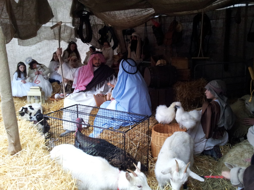 Live Crib at St Mel's Cathedral Longford