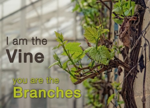 i-am-the-vine-you-are-the-branches1