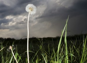 stormy skies